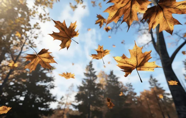 Картинка осень, листья, парк, forest, park, autumn, leaves