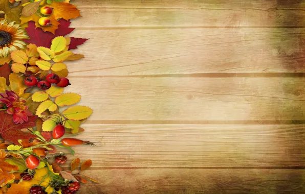 Картинка осень, листья, цветы, ягоды, фон, дерево, vintage, background