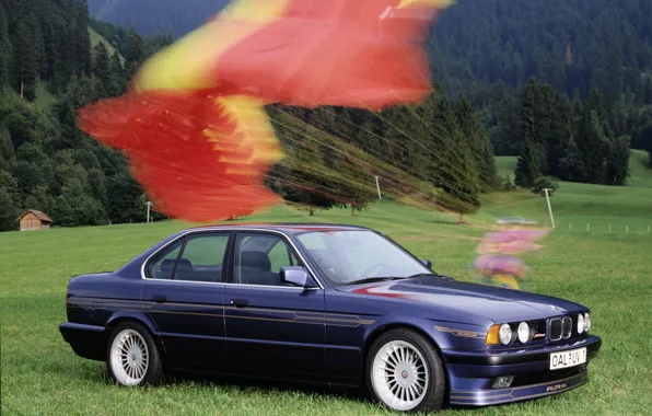 BMW, E34, alphine