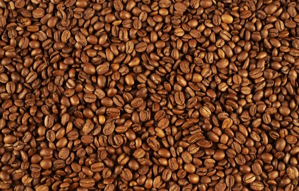 Pattern, coffee beans, many