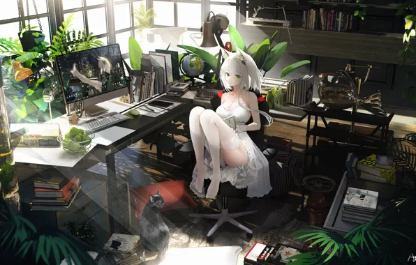 Кошка, девушка, монитор, ушки, Arknights, Kaltsit