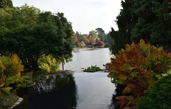 Картинка Англия, Природа, Осень, Озеро, Fall, Autumn, England, Lake