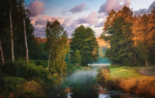 Картинка осень, природа, река