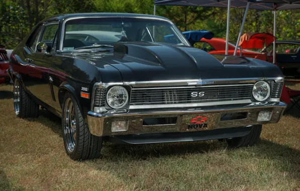 Chevy, Nova, 1972, 396ci