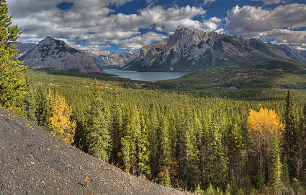 Картинка лес, деревья, горы, озеро, Alberta, Canada, Banff