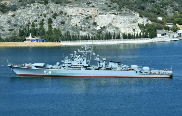 Бухта, Пытливый, сторожевик