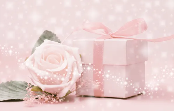 Цветок, роза, розовый фон, коробка. лента