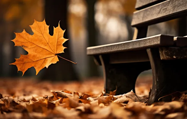 Осень, листья, скамейка, парк, trees, park, autumn, leaves