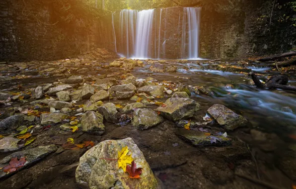 Осень, листья, пейзаж, природа, камни, водопад, поток
