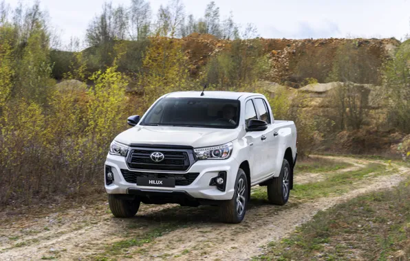 Белый, растительность, Toyota, пикап, Hilux, грунтовка, Special Edition, 2019