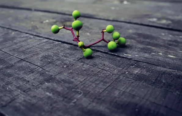 Картинка макро, молекула, Xpand, Molecule