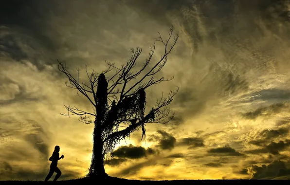 Картинка небо, дерево, силуэт