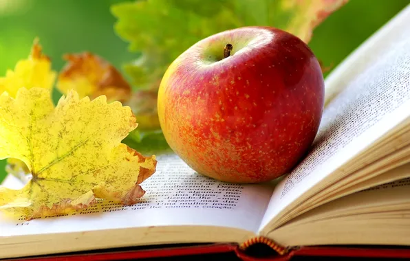 Картинка осень, листья, яблоко, книга, страницы