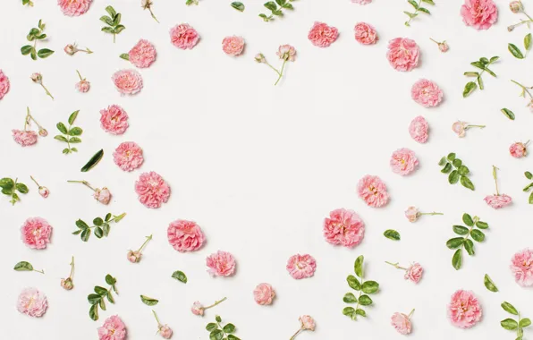 Белый, цветы, фон, сердце, flower, leaves, декор
