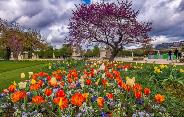 Картинка Франция, Париж, весна, тюльпаны, Елисейские Поля