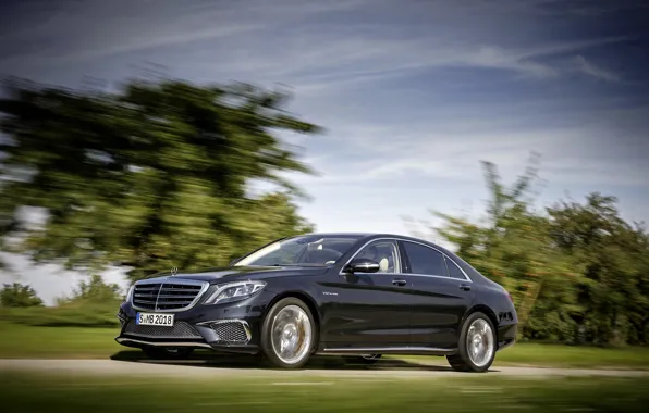 Дорога, деревья, фон, движение, Mercedes-Benz, размытие, водитель, автомобиль