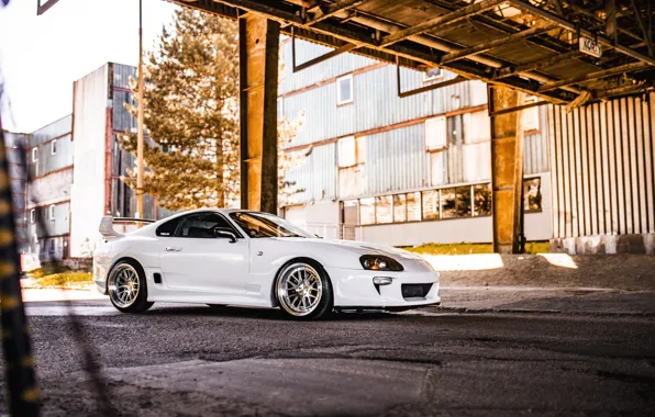 Toyota, White, Supra, Side, Toyota Supra, Building, Road, Supra A80
