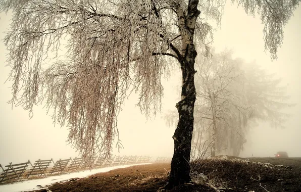Картинка зима, иней, дорога, снег, туман, дерево, берёза, изгородь