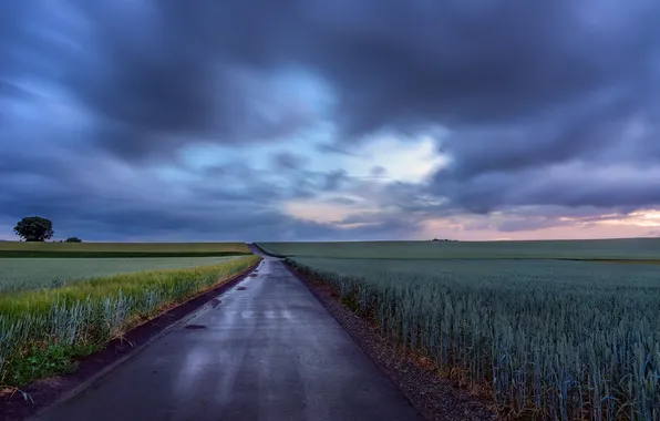 Дорога, поле, небо