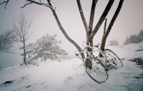 Картинка снег, велосипед, дерево