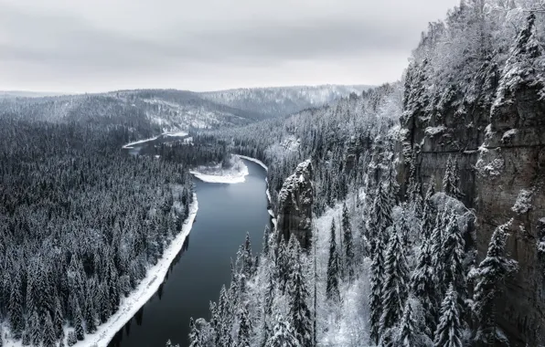 Зима, лес, небо, снег, деревья, горы, река, пасмурно