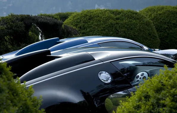 Картинка авто, Bugatti, кусты