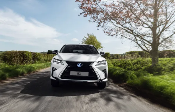 Вид спереди, 2018, Sport, кроссовер, 450h, Lexus RX