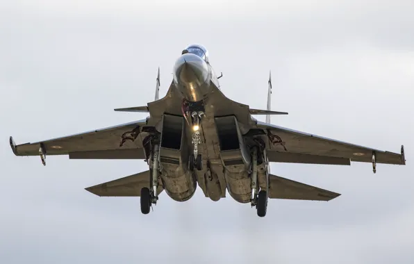 Картинка истребитель, многоцелевой, Су-30, MKИ