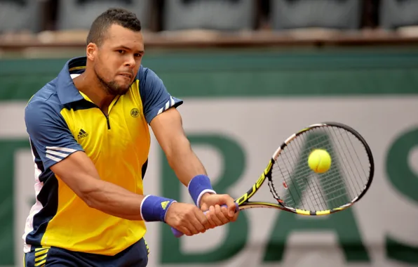 Мяч, ракетка, Tennis, Wilfried, Tsonga