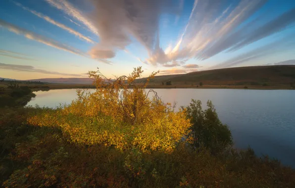 Картинка осень, пейзаж, природа, озеро, холмы, тундра, Урал, Заполярье