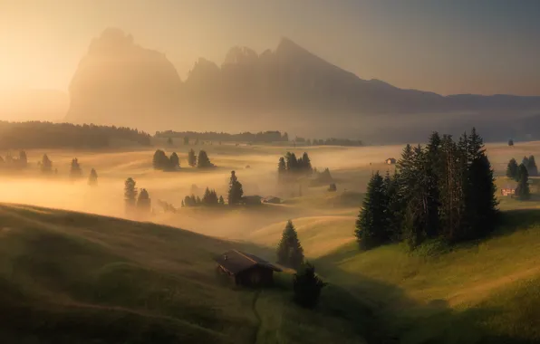 Forest, village, dolomiti, Alpe di Siusi