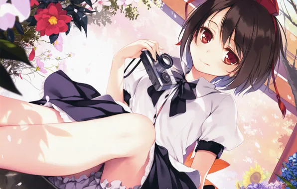 Цветы, фотоаппарат, блузка, бант, touhou, art, Aya Shameimaru, панталоны
