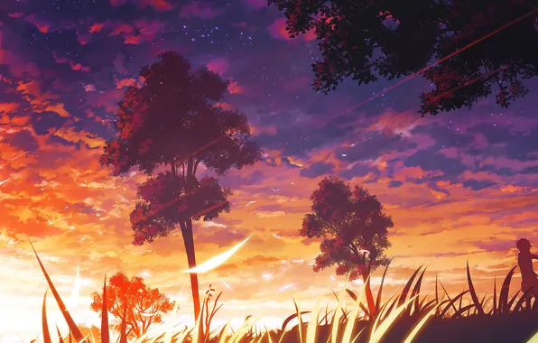 Картинка небо, трава, звезды, облака, деревья, лепестки, силуэт, солнечный свет
