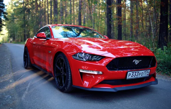 Картинка дорога, красный, Ford Mustang, Евгений Булатов