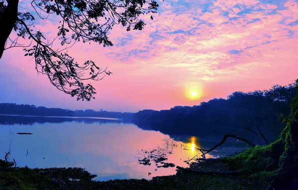 Sun, Water, Sunrise, Dawn, Morning, Lake, Trees, Reflection