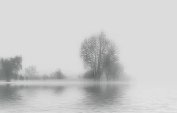 Вода, деревья, туман, фон, силуэты