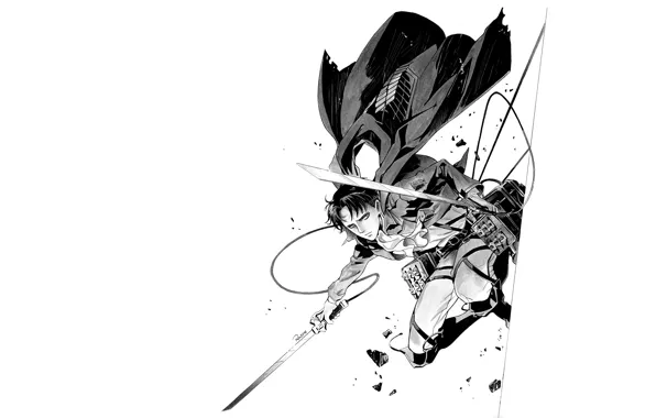 Рисунок, лезвие, арт, белый фон, тросы, Атака Титанов, Shingeki No Kyojin, Леви Аккерман