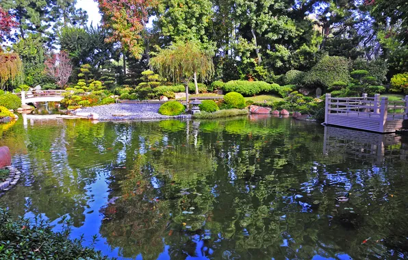 Картинка деревья, мост, пруд, сад, Калифорния, США, кусты, Earl Burns Miller Japanese Garden