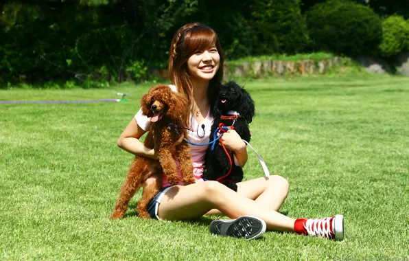 Животные, собаки, девушка, природа, музыка, азиатка, SNSD, Girls Generation
