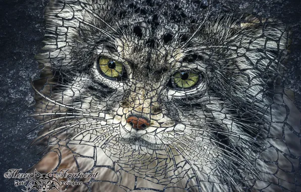 Кот, мозаика, манул, дикий