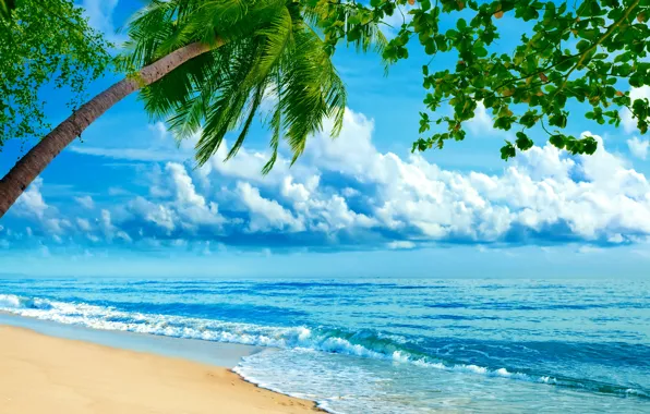 Песок, море, облака, тропики, пальмы, берег, горизонт
