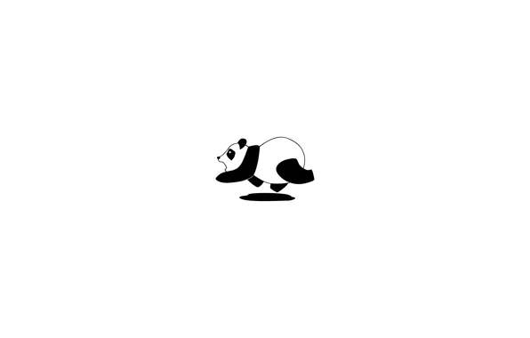 Черно-белый, белое, черное, панда, white, black, black and white, panda