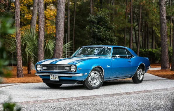 Картинка Chevrolet, Camaro, Classic, 1968, z28