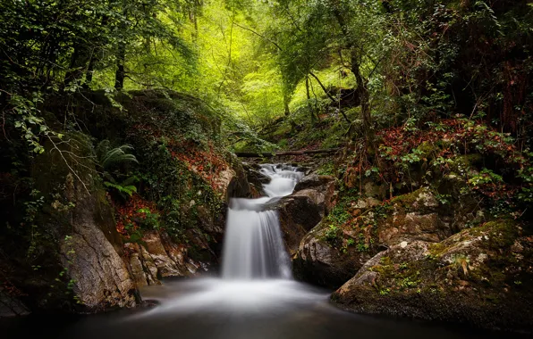 Картинка лес, ручей, водопад, Испания, Spain, Наварра, Navarre, Goizueta