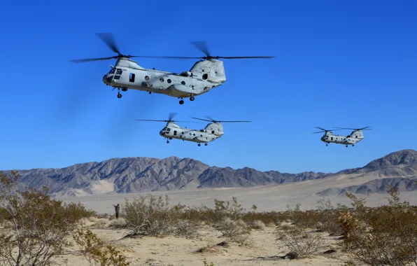 Картинка песок, небо, горы, кустарник, американские, военно-транспортные вертолёты, Боинг Вертол CH-46 Си Найт, Boeing Vertol CH-46 …