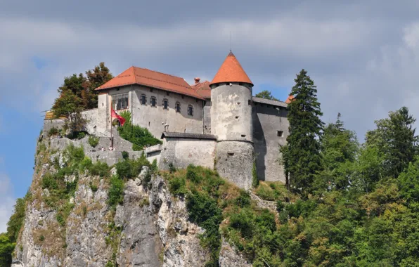 Деревья, кусты, постройки, Словения, исторический памятник, отвесная скала-утёс, Юлийские Альпы, Бледский замок
