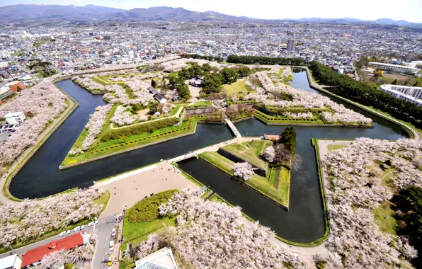 Дизайн, парк, Япония, панорама, канал, Hakodate, Goryokaku Park