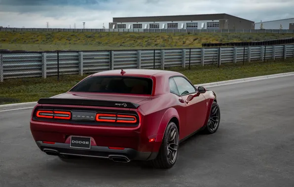 Car, Dodge Challenger, Dodge Challenger SRT, vegetation, Dodge Challenger SRT Hellcat Widebody