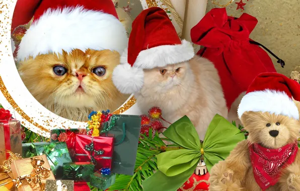 Коты, новый год, рождество, рыжие