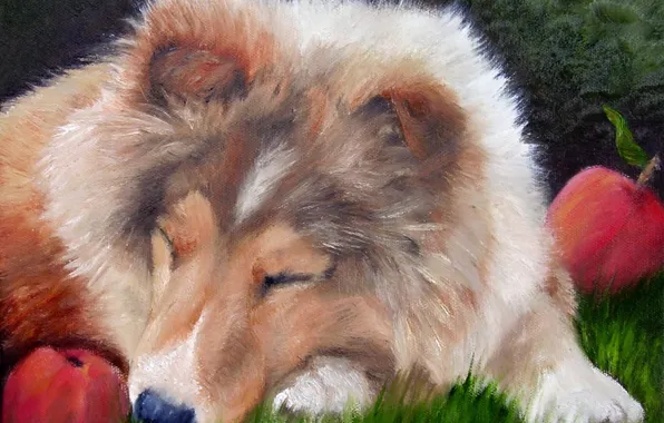 Взгляд, поза, масло, портрет, собака, живопись, мордашка, холст